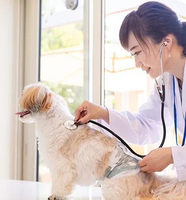 獣医師と連携し、健康チェックも可能